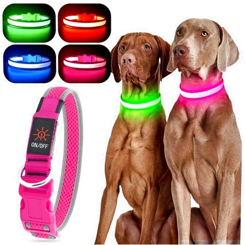 YFbrite Light up Dog Collar, Rechargeable LED Dog Collar, Waterproof Dog Collar Light, Adjustable Reflective Flashing Dog Collar Glowing at night (Pink, Medium)