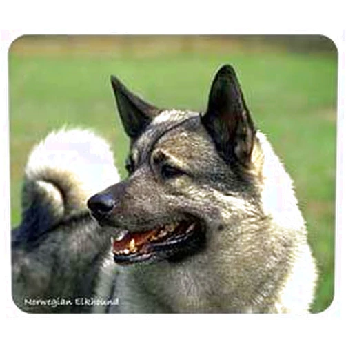 Lumalack Norwegian Elkhound Mousepad