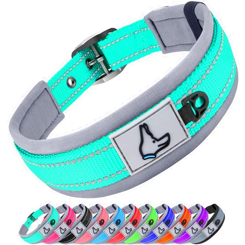 Joytale Dog Collar for Medium Dogs, Neoprene Padded and Adjustable, Reflective Wide Heavy Duty Pet Collars with Durable Metal Belt Buckle for Walking, Teal, M