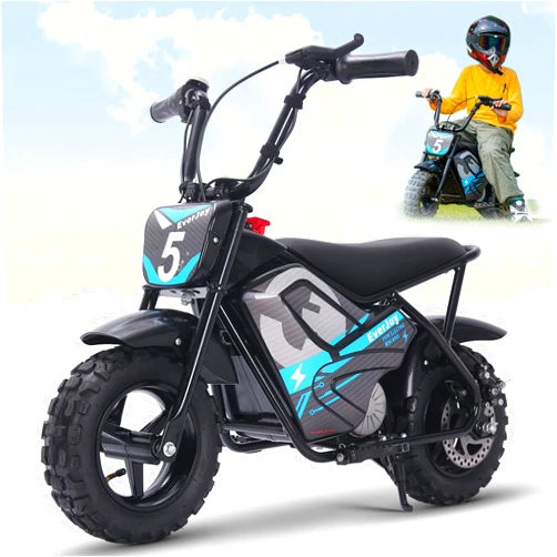 Everjoy 24V Electric Kids Mini Bike 250W High Torque Motor, 24V 9AH, 2 Speeds,10/12 MPH, UL 2849 Certificated Electric Dirt Bike for Ages 5+