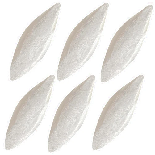 Clyairmao 6 Pcs Bird Cuttlebone for Parakeets 6.6''-7'' Cuttlebone for Birds - 100% Natural Cuttlefish Bone Bulk Chew Toy Bird Bites Calcium Stone for Canaries Tortoises,Snails,Reptiles,Parrots,Cockatiel