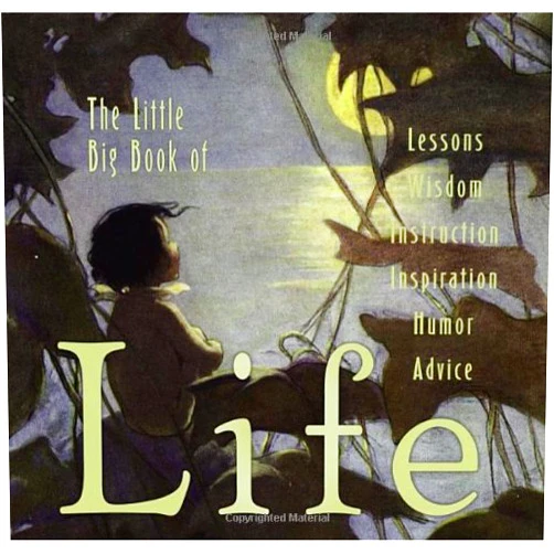Lena Tabori,Natasha Tabori Fried Little Big Book Of Life (Little Big Book, 15)