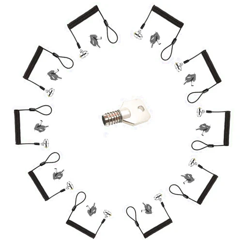 LORADAR 10Pack Laptop Security Cable Lock 6.2Feet Retractable Cable Lock for Laptops, Monitor & Other Devices (Keyed Different+Master Key)