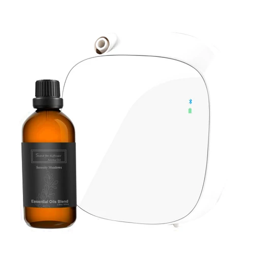 BAIESHIJI Upgraded Smart Scent Air Machine for Home, Wall Mounted Cold Air Scent Machine, 100ML Waterless Diffuser
