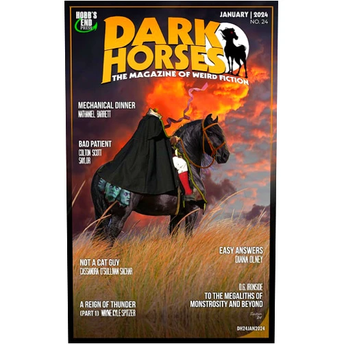 Wayne Kyle Spitzer,D.G. Ironside,Diana Olney,Colton Scott Saylor,Jhon Sánchez,Cassandra O’Sullivan Sachar,Will Lennon,Eleanor Mourante,Marco Etheridge,Nathaniel Barrett Dark Horses: The Magazine of Weird Fiction No. 24: January 2024 (Dark Horses Magazine)