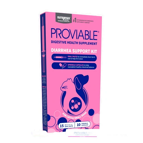 Nutramax Laboratories Nutramax Proviable Digestive Health Supplement Kit with Multi-Strain Probiotics and Prebiotics for Cats and Small Dogs, With 7-Strains of Bacteria, 15 mL Paste and 10 Capsules