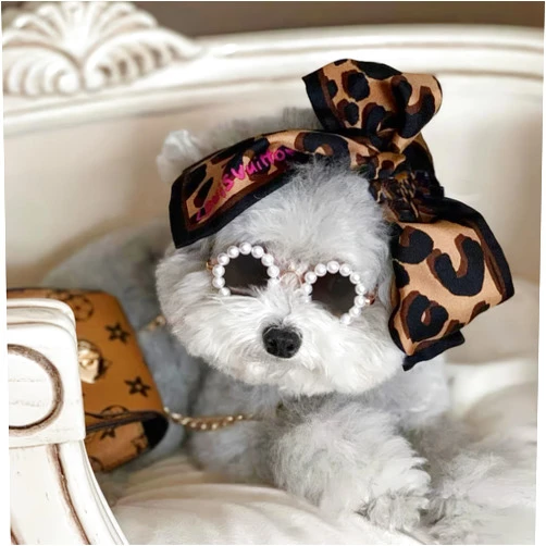 KUDES Cute Dog Sunglasses - Pearl Dog Sunglasses: Small, Medium Breed - Girl Holiday Party Costume Accessory