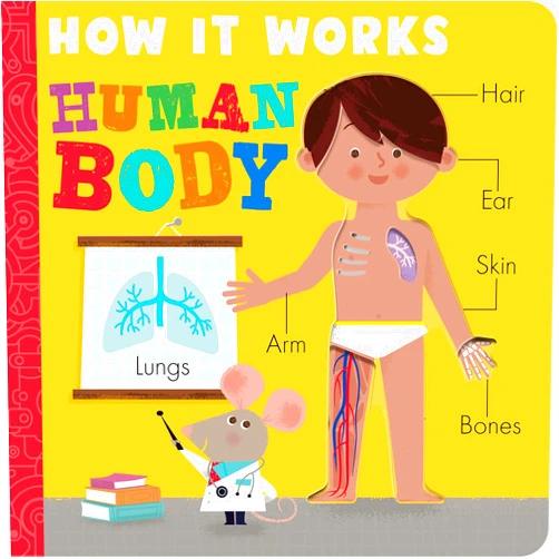 Amelia Hepworth,David Semple How it Works: Human Body