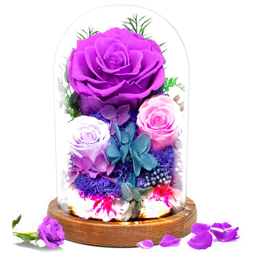 Impouo Valentine's Day Flowers Gifts for Her,Preserved Rose in Glass Dome, Forever Flowers for Delivery,Birthday Gifts for Wife Women, Grilfriend Mom-Purple