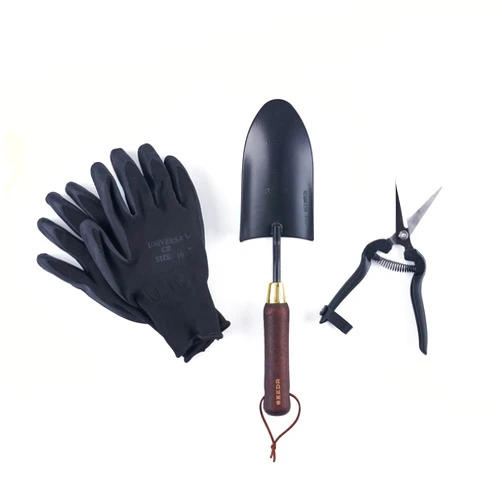 SEEDR GARDEN WORKS Indoor Plants Tool Set, Stainless Steel Starter Kit - Garden Shears, Garden Gloves, Garden Trowel – 3pc Set