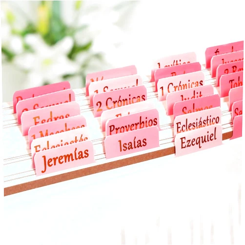 CREECHWA Spainish Bible Tabs for Women, Pestañas para Biblia en Español, 73 Bible Tabs for Christian, Anti-Wrinkle Bible Tabs for Study, Large Gold Font, Waterproof Bible Chapter Tabs