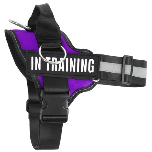 JUSTYEZI Essential Dog Harness with 3 Leash Clips - No-Pull, Adjustable, Comfortable Pet Vest Harness for Small to Large Dogs - Easy On, No Choke, Reflective, Padded Harness for Walking and Training