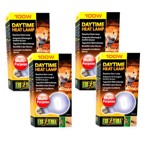 Exo Terra (4 Pack) Exo Terra Sun-Glo Neodymium A21 Lamp, 100 Watt