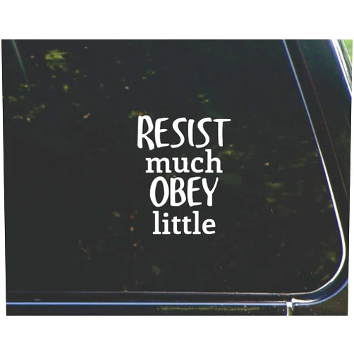 DGD Resist Much, Obey Little - for Cars Funny Car Vinyl Bumper Sticker Window Decal |White | 4.75