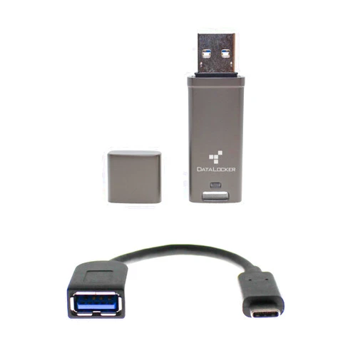 DataLocker DL GO Encrypted USB Flash Drive | USB 3.2 Gen 1 | AES 256-bit XTS | FIPS 197 | IP68 Rugged | TAA Compliant with USB-C Adapter - 4GB