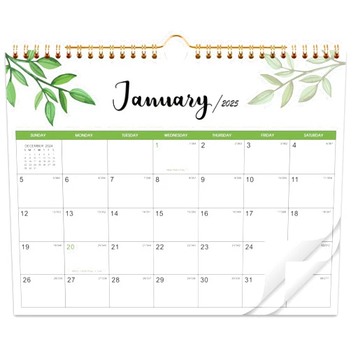Frasukis 2025 Calendar - 2025 Wall Calendar, Jan. 2025 - Dec. 2025, 11