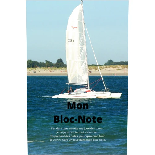 Ace (Cheenook) Leinerd Mon Bloc-Note (French Edition)