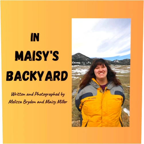 Melissa Brydon,Maisy Jean Miller In Maisy's Backyard