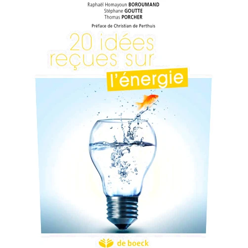 Raphaël Homayoun Boroumand,Stéphane Goutte,Thomas Porcher,Christian de Perthuis 20 idées reçues sur l'énergie