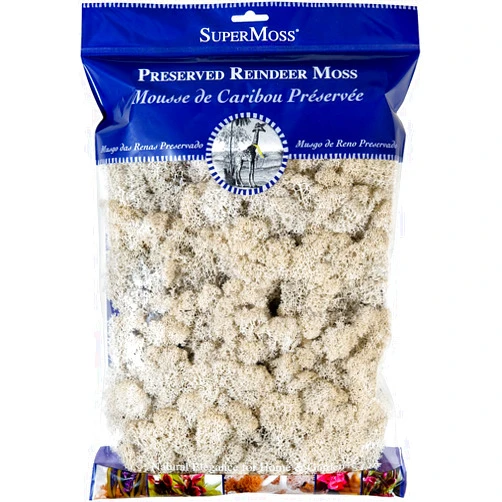 SuperMoss (23193) Reindeer Moss Preserved, White, 8oz Bag