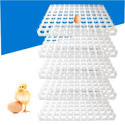 DYRABREST 5pcs Plastic Egg Holder Countertop,88 Egg Incubator Tray Chicken Duck Tray 19.6x14.17x1.18 Egg Hatcher Storage Container