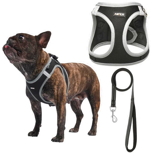 AMTOR Small Dog Harness with Leash Set, No Escape Easy Walk Puppy Harnesses for Training Walking, Step-in Reflective Soft Dogs Vest for XS S Medium Extra-Small Large Sized Dog(Black/Grey)