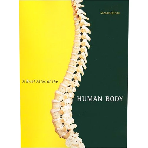 By Matt Hutchinson (Author) A Brief Atlas of the Human Body by Hutchinson, Matt, Mallatt, Jon B., Marieb, Elaine N., Wilhelm, Patricia Brady (February 13, 2010) Spiral-bound