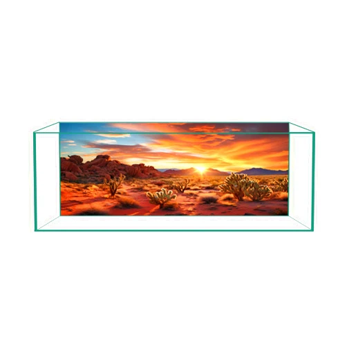 CICK SEED Aquarium Background & Terrarium Background – Ultra HD Static Cling, Tape-Free, Desert Sunset Design for Reptile Tank Decorations, Perfect for Bearded Dragon and Leopard Gecko Tanks 23.6 X 70.8 Inches