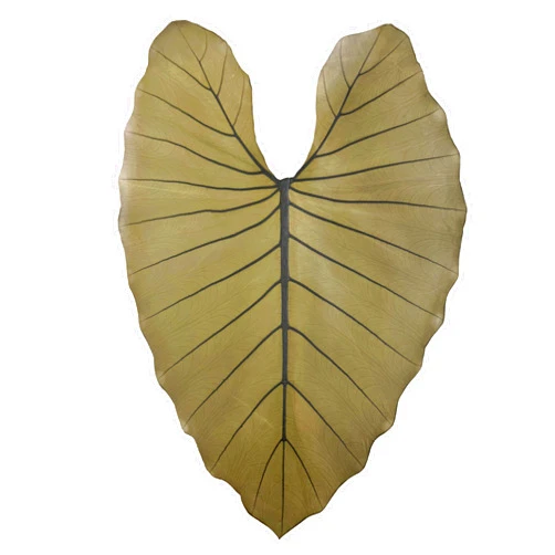 District Leathers Leaf Leather Olive Full Leaf