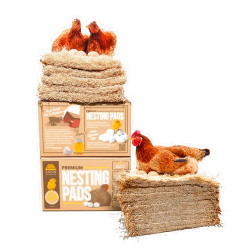 Eaton Pet and Pasture, Premium Laying Hen Nesting Pads, USA Grown & Sustainably Harvested, 13 x 13 (10 Pack)