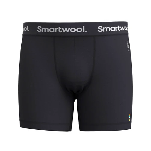 Smartwool Men's Everyday Merino Wool Boxer Brief Boxed (Slim Fit)