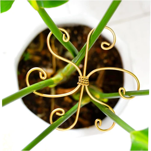 YOHSNOR Durable Monstera Plant Support Hooks 5.5in - 5-Piece Set for Indoor Plant Stabilization, Easy-to-Use Grapple Holders for Monstera and Turtle Shell Plants for Plant Lovers