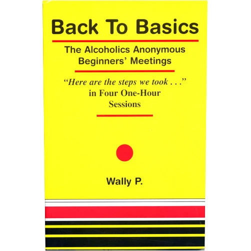 By Wally P (Author) Back To Basics - The Alcoholics Anonymous Beginners Meetings 