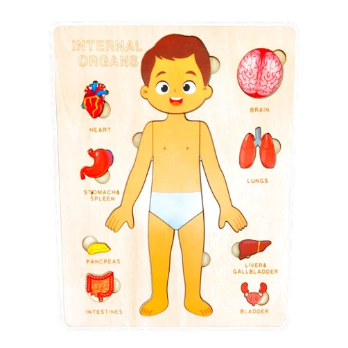 JugueteLand Wooden Body Puzzles for Kids, Toddler Montessori 14 Pieces Boy Anatomy Puzzle, Human Body Learning Toy with Internal Organs Early STEM Educational Toy for Boys and Girls Ages 3 4 5 6 Years Old
