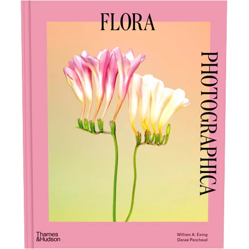 William A. Ewing,Danaé Panchaud Flora Photographica: The Flower in Contemporary Photography