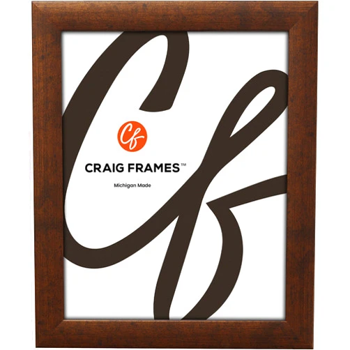 Craig Frames Contemporary, 25x30 Picture Frame, Rustic Copper