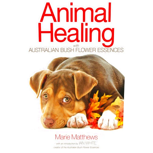 Marie Matthews Animal Healing with Australian Bush Flower Essences