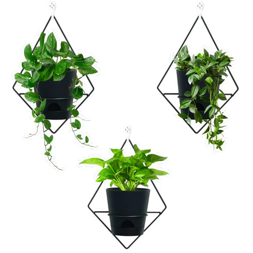 Koalaime 3 Sets of Wall Planters for Indoor Plants, Hanging Wall Planter with Black Metal Holder, Geometric Self Watering Wall Flower Pots, Wall Mounted Succulent Planter, 5