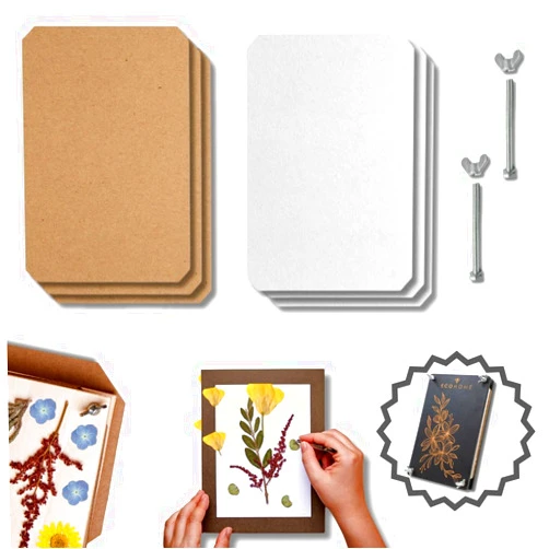 ECOHOME Flower Press Kit Replacement Cardboard Sheets - Ideal for Paper Crafting with Dried Flowers, Extends Lifeline, & Versatile Use in Botanical Art, 11.5x8.2 Size