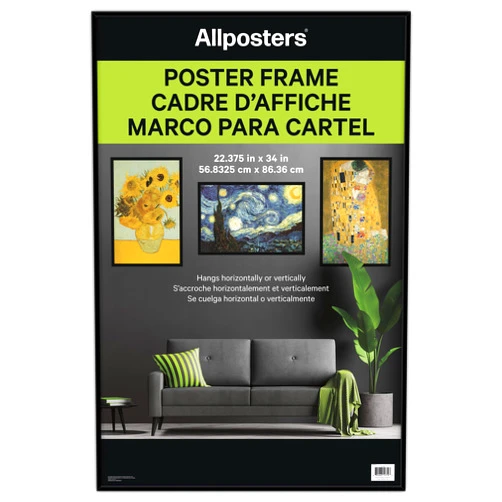 Trends International Allposters Standard Black Poster Frame (22.375X34)