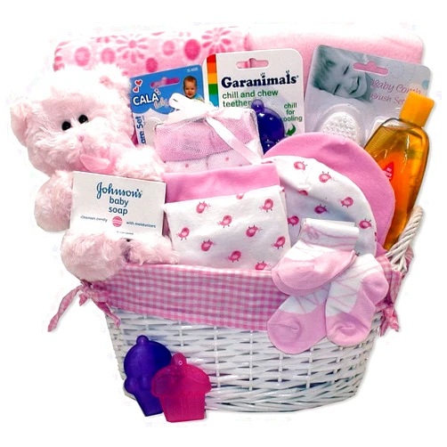 Gift Basket Dropshipping Simply Baby Necessities Baby Girl Basket - Pink