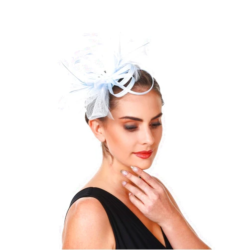 SAFERIN Fascinators Hat Flower Mesh Ribbons Feathers on a Headband and a Clip Tea Party Headwear for Girls and Women