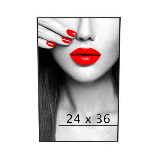 Plexon 24x36 Poster Frame, Large Picture Frame for Wall, Black Picture Frames, Gallery Photo Frame