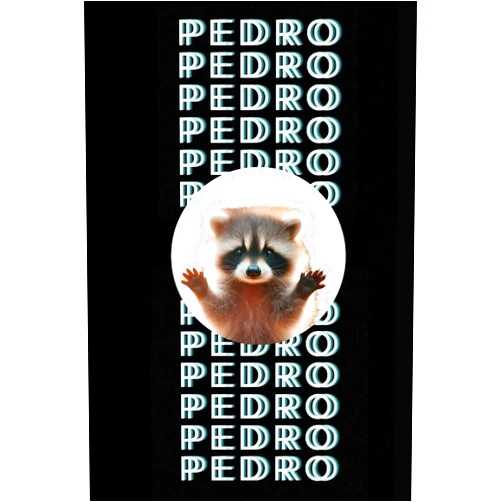 Ana Paola Pedro Pedro Pedro: Libreta de notas con diseño de mapaches (Spanish Edition)