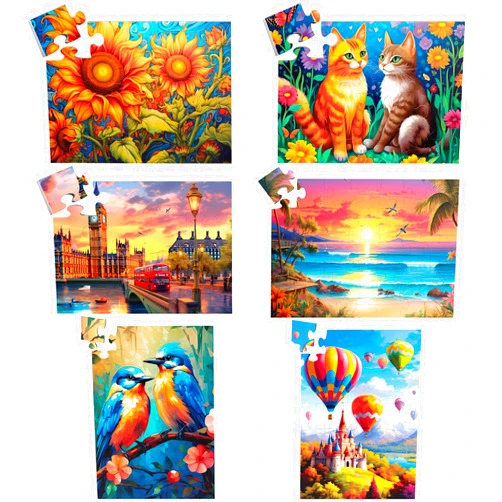 Biarek 6 Packs Large Piece Jigsaw Puzzles for Elderly Puzzle Dementia Alzheimer's Products Activities, Alzheimer's Puzzles Cognitive Gift for Patients in Nursing Home Seniors Adults, 6 Storage Bags(16&35)