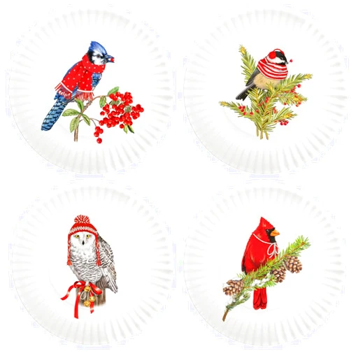 Mary Lake-Thompson Winter Birds 6-inch Melamine Appetizer Snack Plates, Set of 4 Assorted,Multicolor,One Size(MZ1985PP)