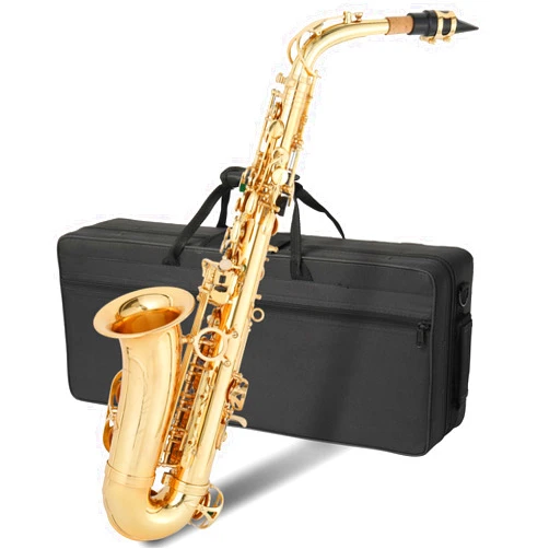 GODECOR E Flat Alto Saxophone, Brass Alto Saxophones Instrument with Carry Case, Mouthpiece, Cleaning Brush & Cloth, Strap Accessories For Beginner Professional