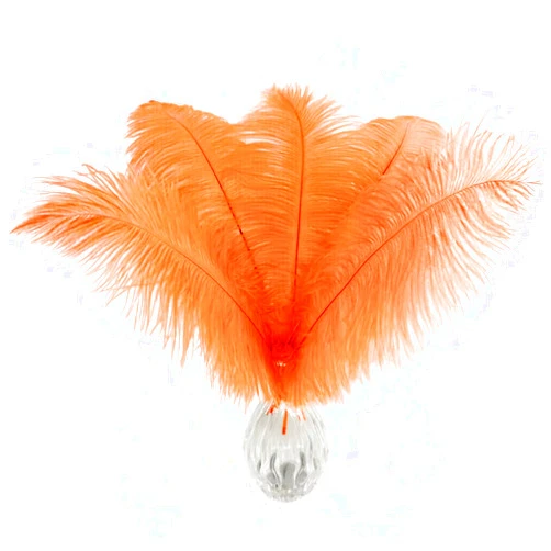 Piokio 10pcs Ostrich Feather Orange 10-12 inch (25-30cm) Bulk Feathers for Wedding Party Centerpieces, Home Decoration and DIY Clothing, Gatsby Decorations