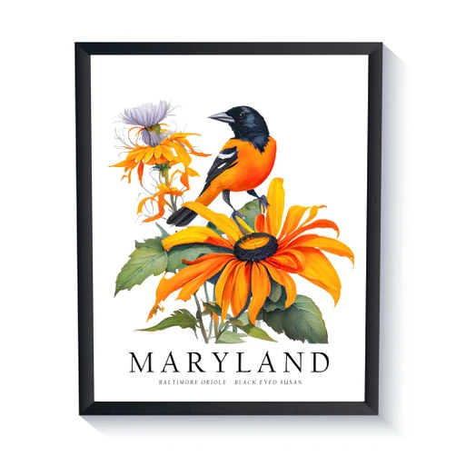 HomeArtPrint Maryland State Bird And Flower Art Print, Maryland Poster Wall art Decor, Maryland State Map Travel Poster, Home Office Wall Decoration, Bedroom, Living Room Artwork. (Maryland F, 11x14 inches