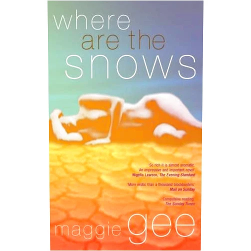 Maggie Gee Where Are the Snows